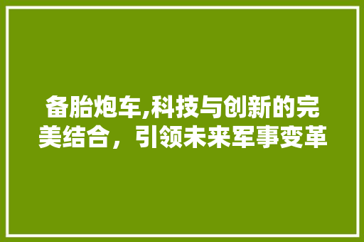 备胎炮车,科技与创新的完美结合，引领未来军事变革