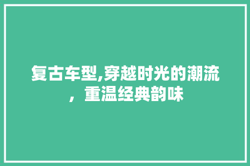 复古车型,穿越时光的潮流，重温经典韵味