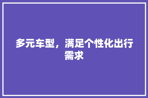 多元车型，满足个性化出行需求