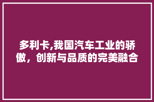 多利卡,我国汽车工业的骄傲，创新与品质的完美融合