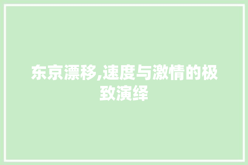 东京漂移,速度与激情的极致演绎