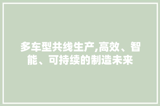 多车型共线生产,高效、智能、可持续的制造未来