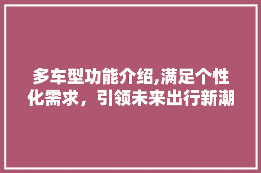 多车型功能介绍,满足个性化需求，引领未来出行新潮流