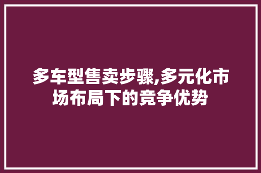 多车型售卖步骤,多元化市场布局下的竞争优势