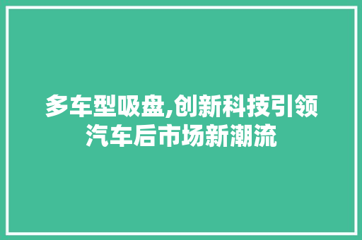 多车型吸盘,创新科技引领汽车后市场新潮流