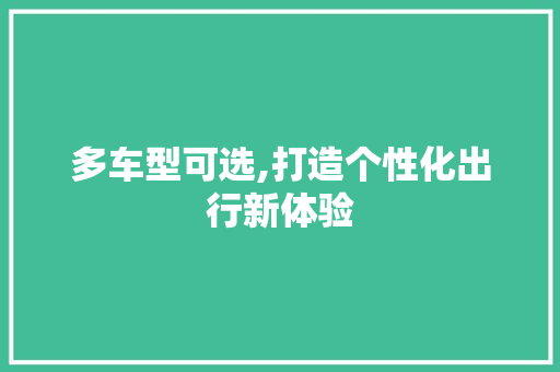 多车型可选,打造个性化出行新体验