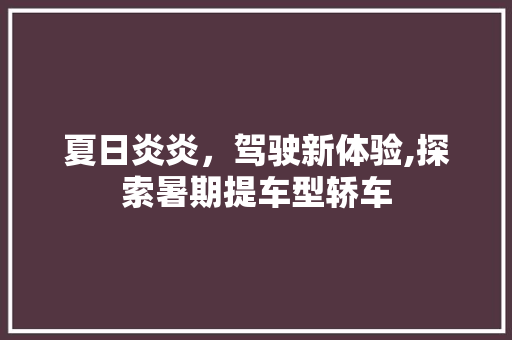 夏日炎炎，驾驶新体验,探索暑期提车型轿车