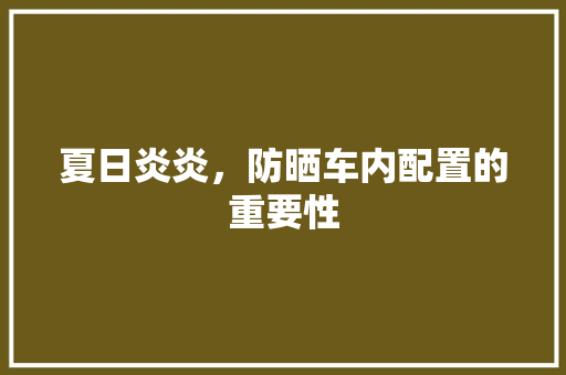夏日炎炎，防晒车内配置的重要性